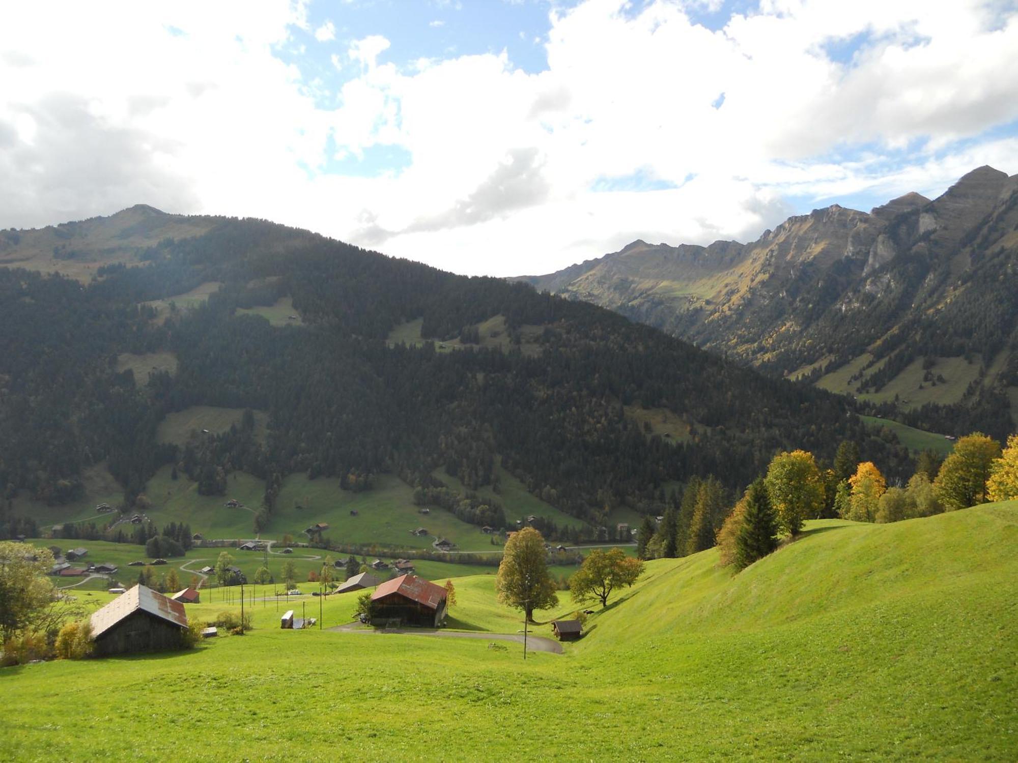 Bauernhaus Gschwend Gsteig エクステリア 写真
